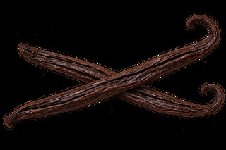 Two dried vanilla beans crossed in an X shape against a black background